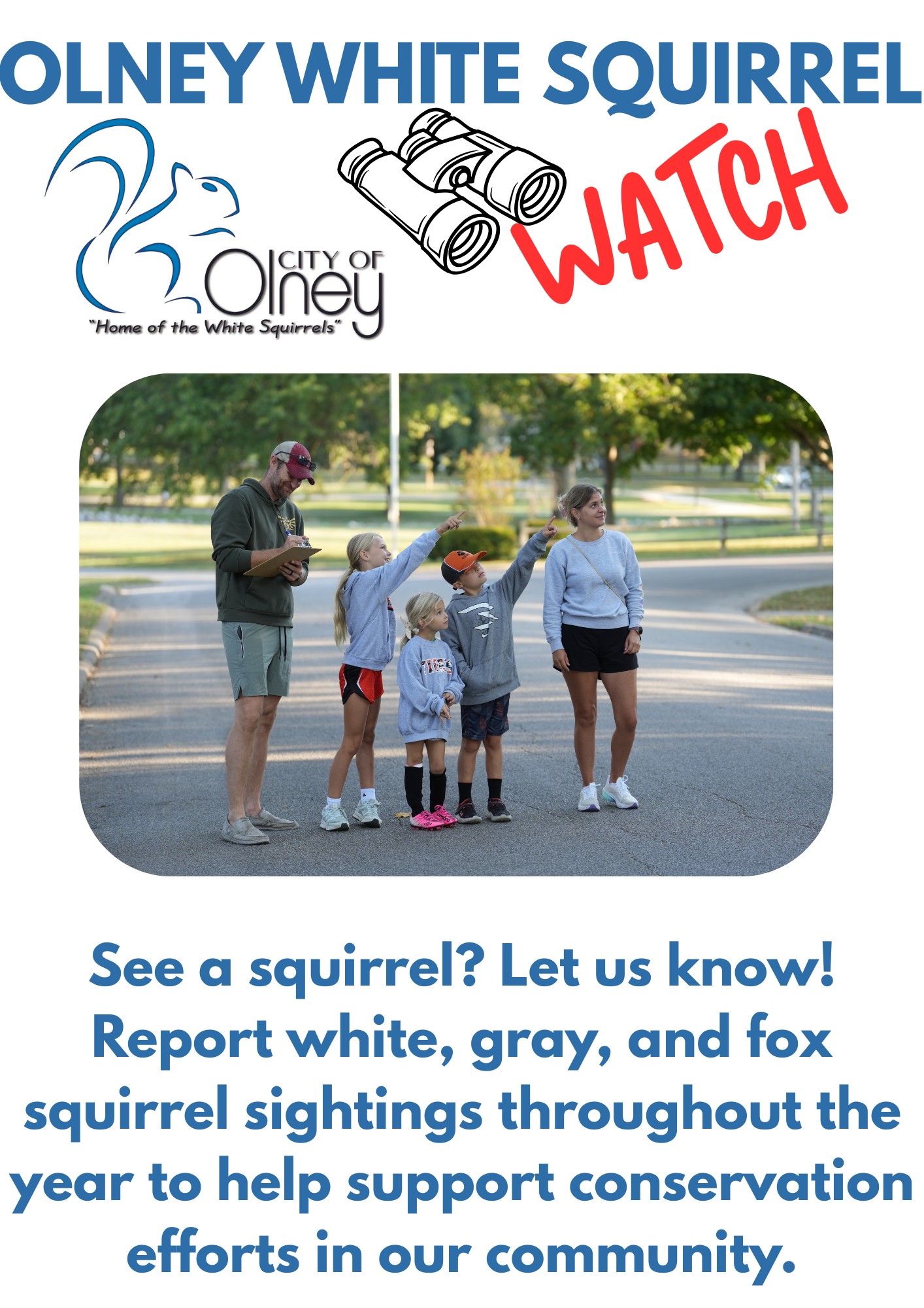 City of Olney poster: Olney White Squirrel Watch. See a squirrel? Let us know! Report white, gray, and fox squirrel sightings throughout the year.
